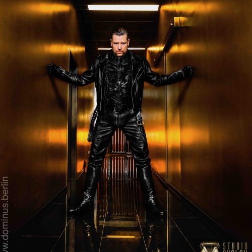 Galeriebild 18 von der dominus