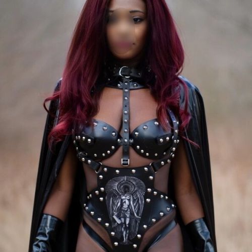 Galeriebild 4 von Trans Hiliana