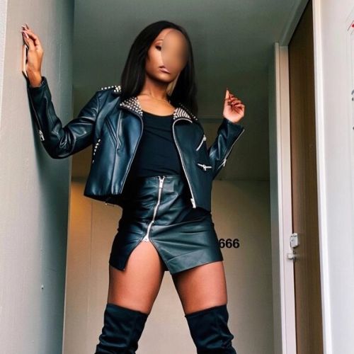 Galeriebild 3 von Trans Hiliana