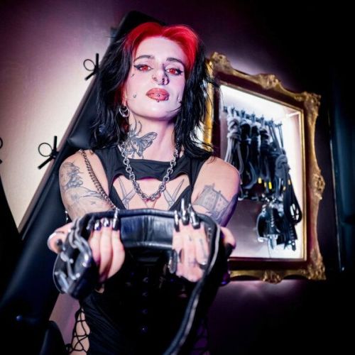 Galeriebild 4 von Seladon Hex