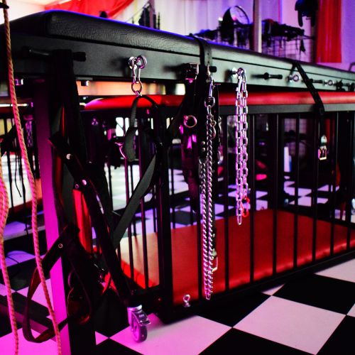 Galeriebild 9 von Miss Julie Noir