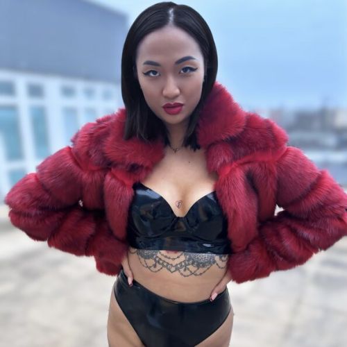 Galeriebild 6 von Lady Akita