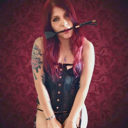 Galeriebild 9 von Kleiner Fuchs