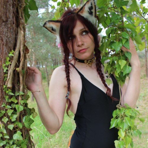 Galeriebild 7 von Kleiner Fuchs