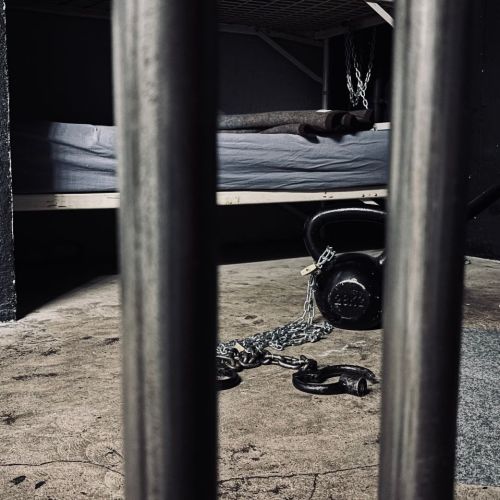 Galeriebild 8 von Mistress Henriette