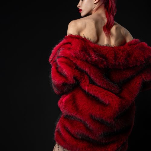 Galeriebild 10 von Princess Harley Blood