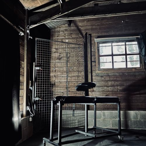 Galeriebild 5 von Mistress Henriette