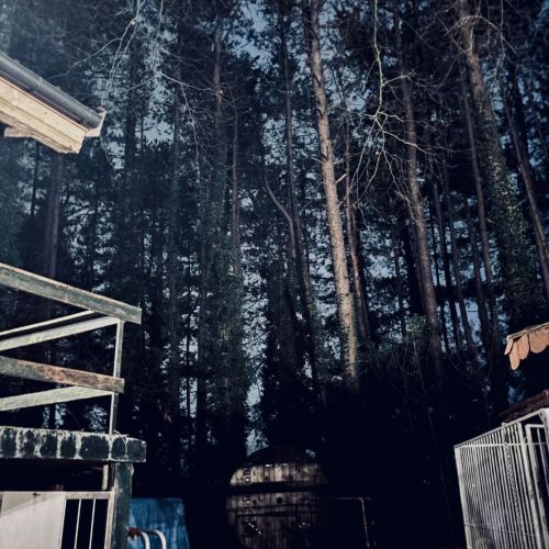 Galeriebild 3 von Mistress Henriette