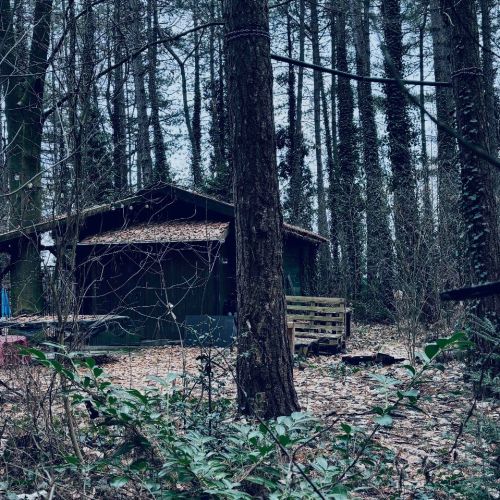 Galeriebild 2 von Mistress Henriette