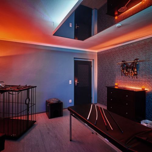 Galeriebild 3 von Das Lustwerk