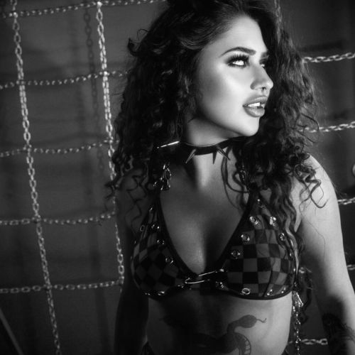 Galeriebild 10 von Huntress Artemis