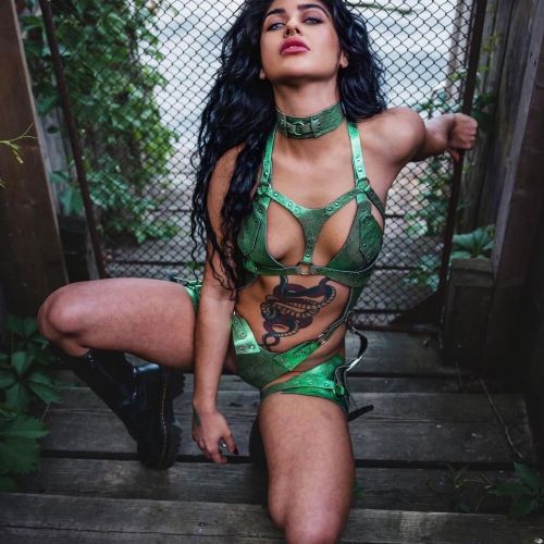 Galeriebild 3 von Huntress Artemis