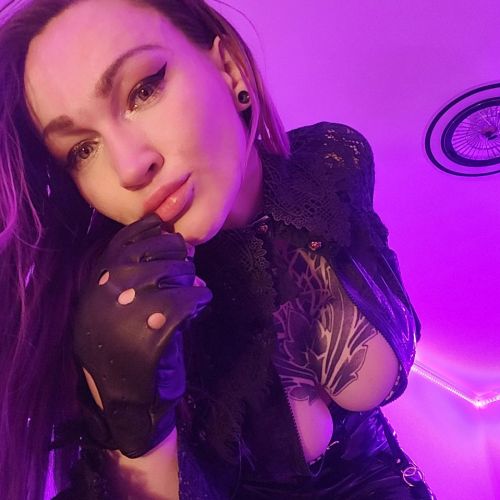 Galeriebild 8 von Lady Lynn